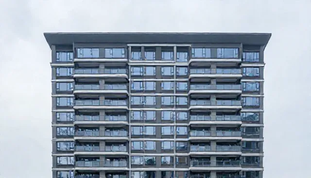 处理方法:常见问题分析与使用建议